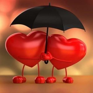 Meet your Posher, Alice